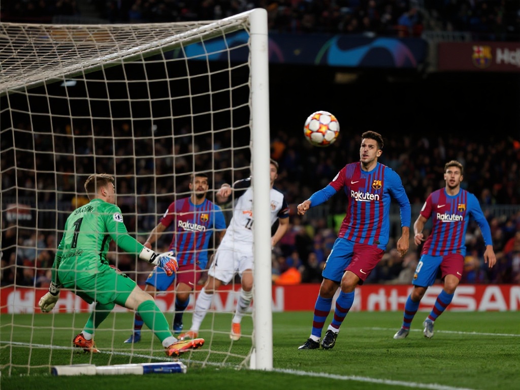 为用户提供 为用户提供